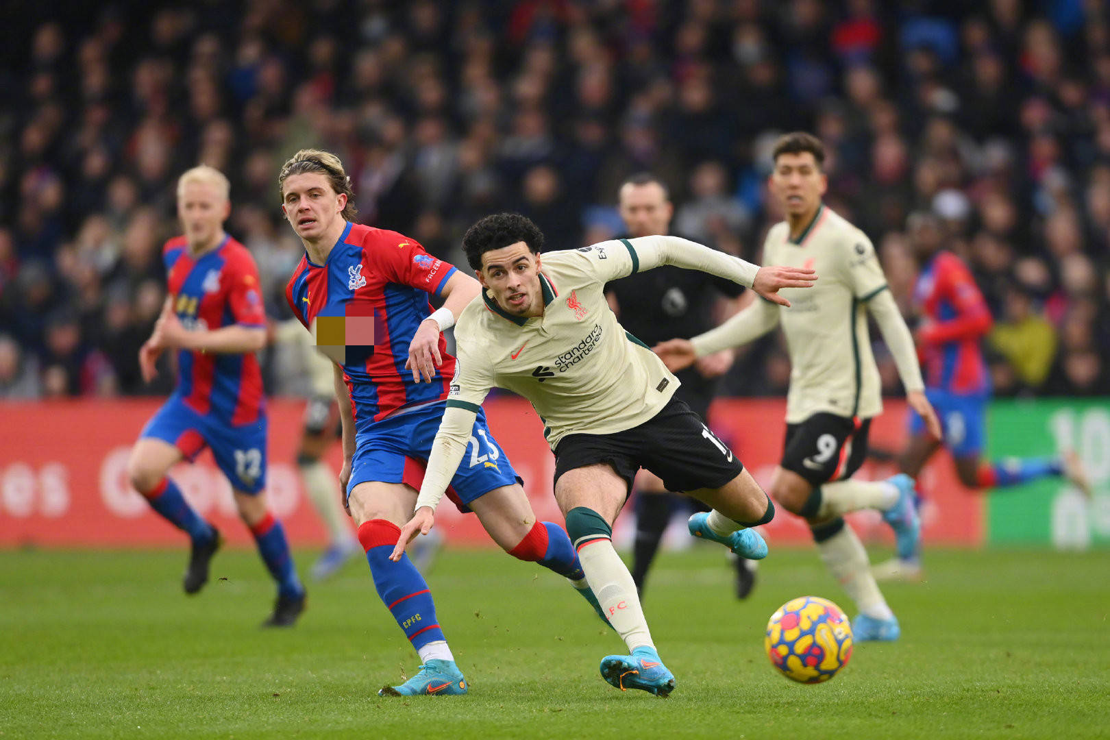 总结一下焦 总结一下焦