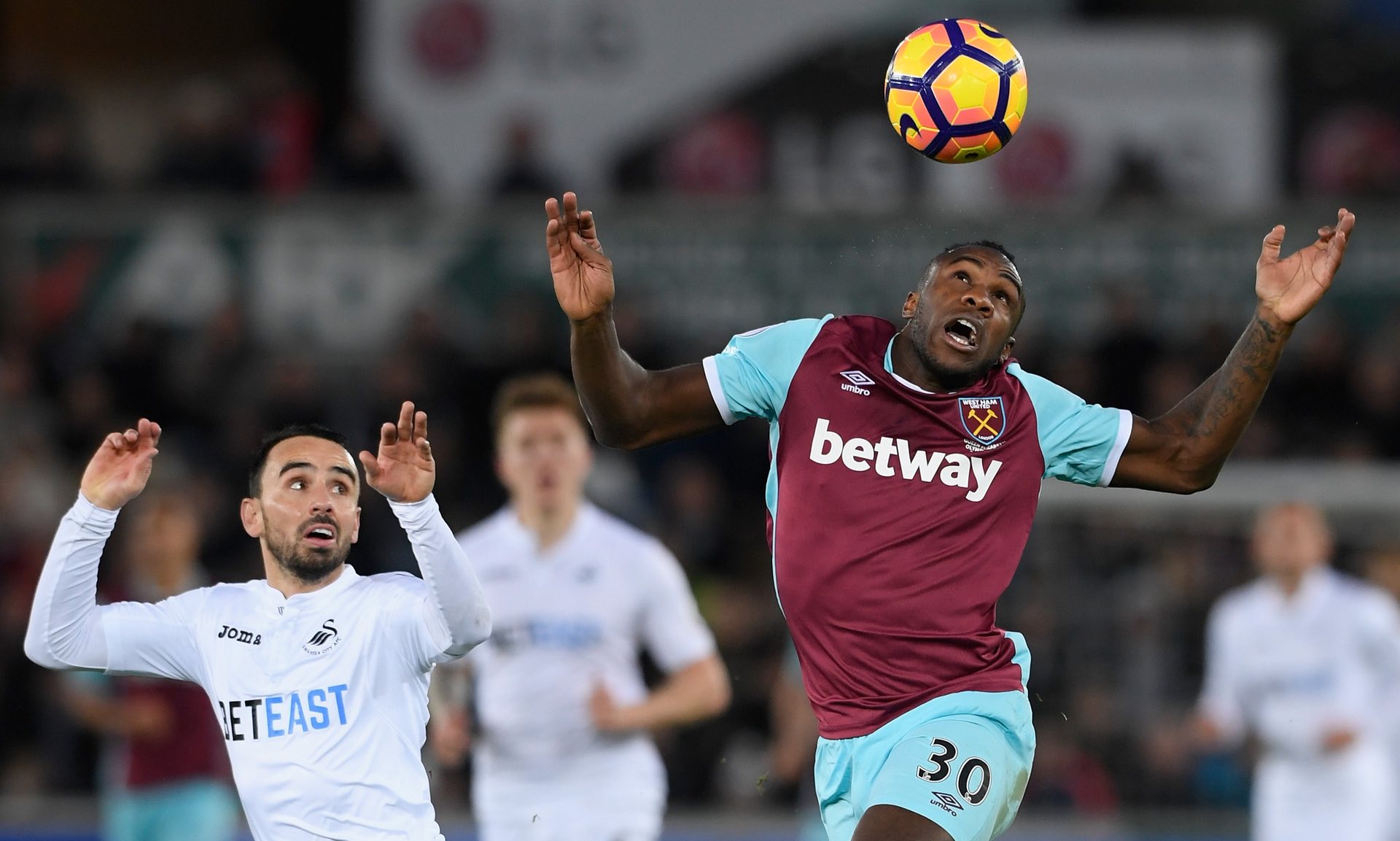 在這種情感 在這種情感